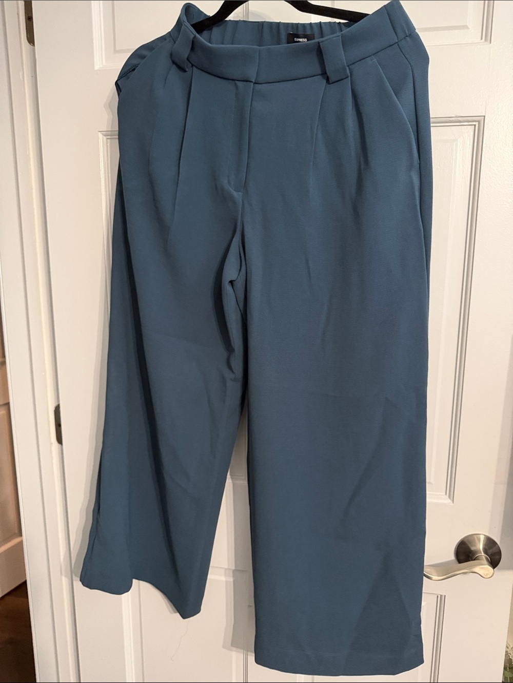 Express Wide-Leg Pleated Pants in Teal